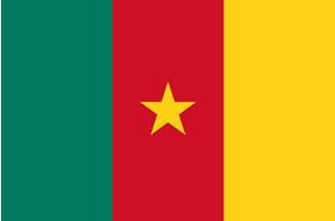 drapeau cameroun